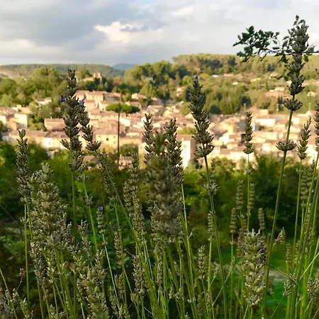 Loft Provencal Salernes